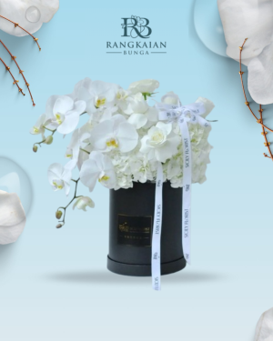 Flower Box 9