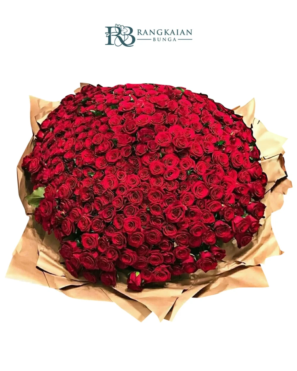Huge 1000 Stem Roses