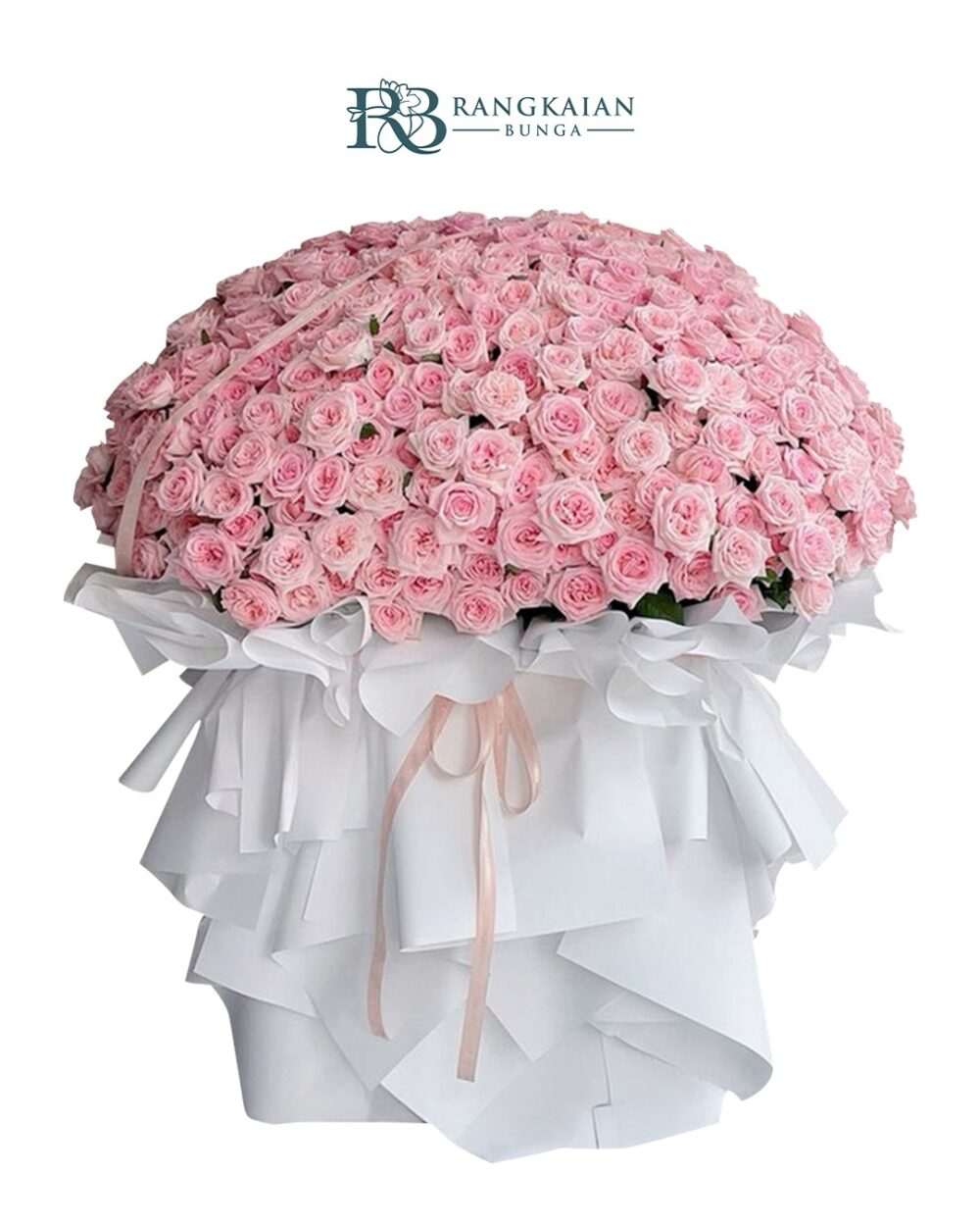 Huge 500 Stem Roses