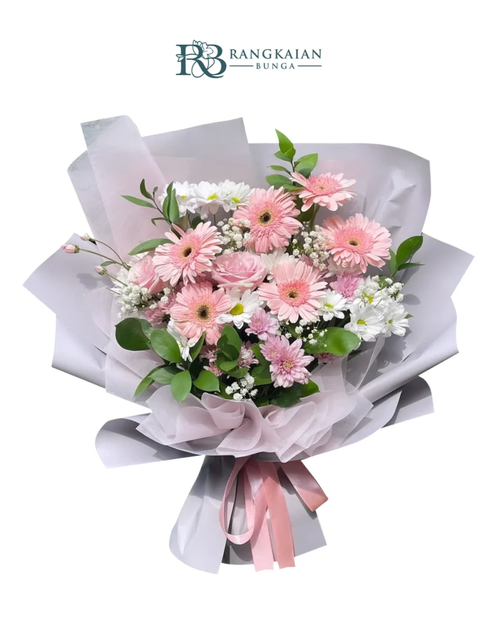 Gerberas Streling