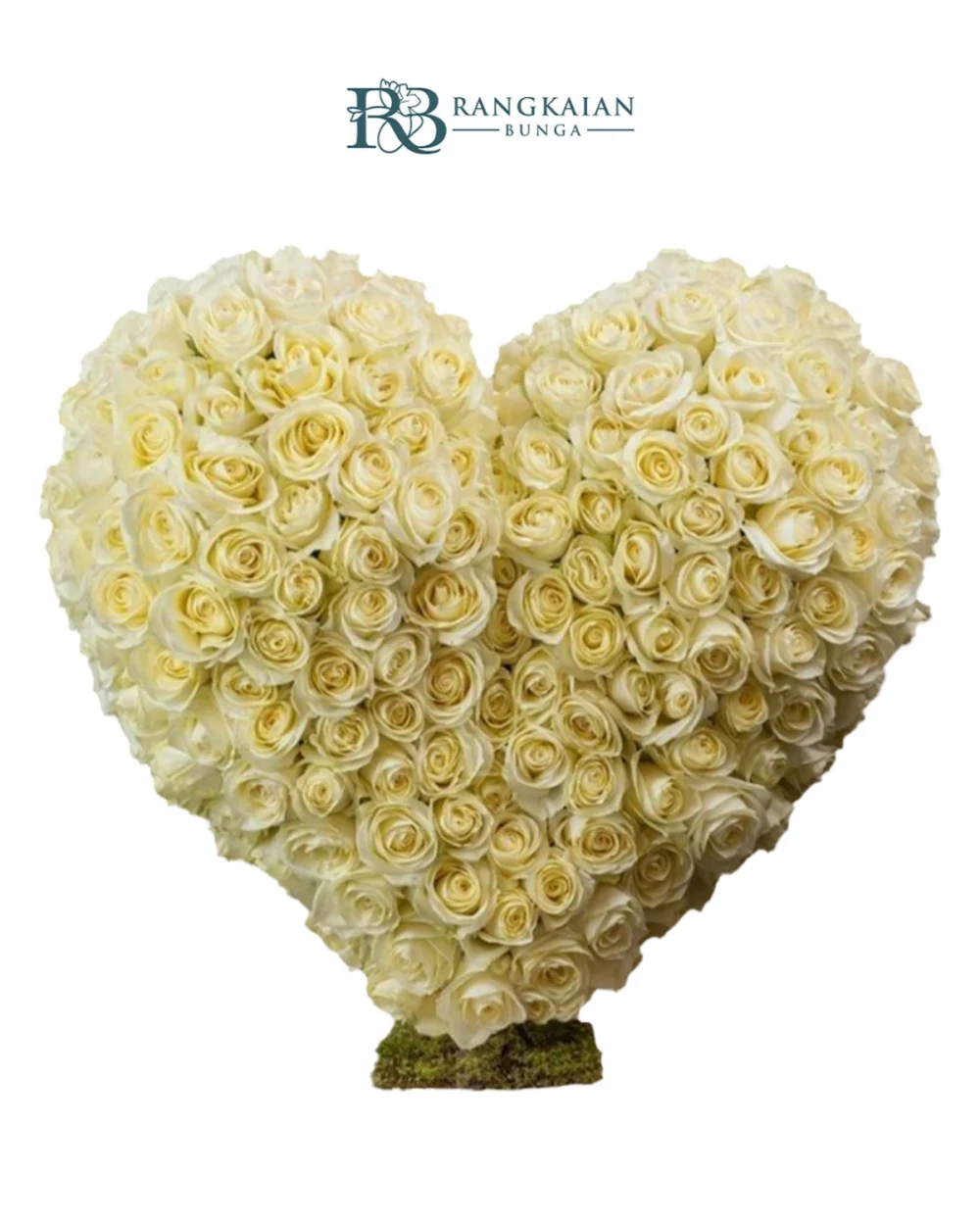 Love in Bloom 500 Stems White Roses