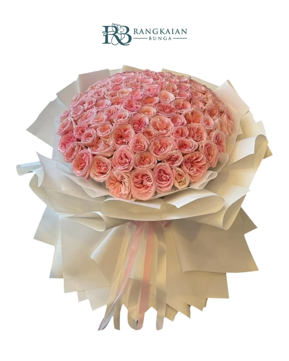 Huge 100 Stems Pink Roses