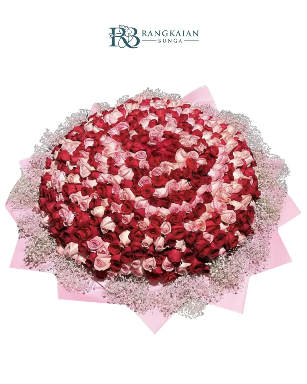 Huge 300 Stems Pink Red Roses