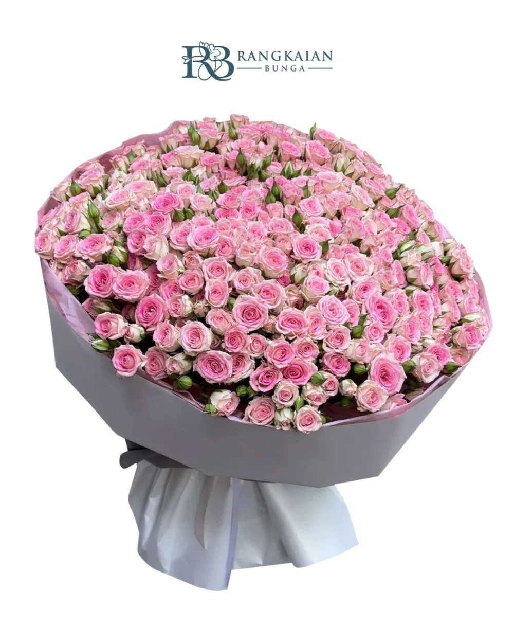 Huge 300 Stems Pink Roses