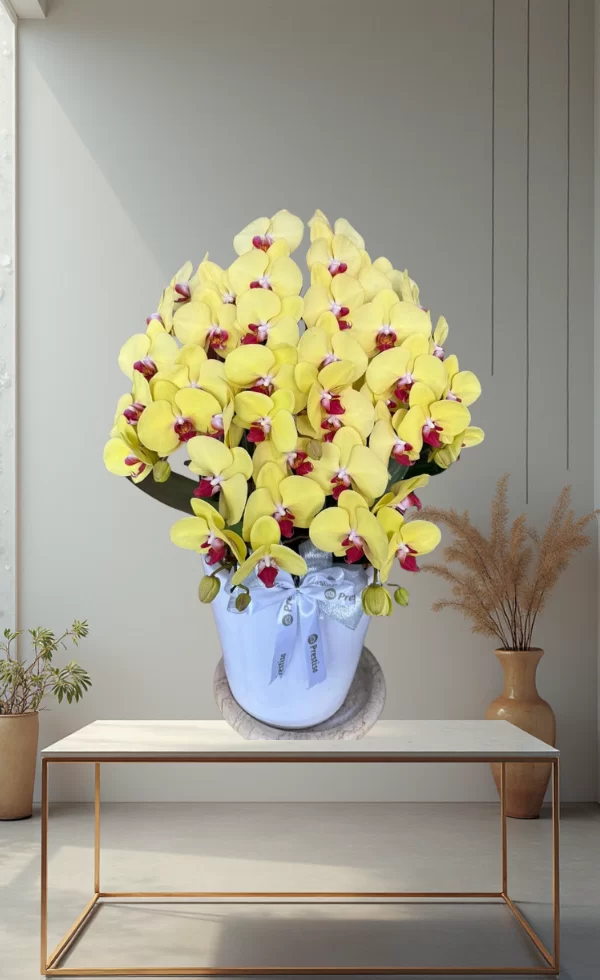 Bunga Anggrek Pot Premium Elegan 5