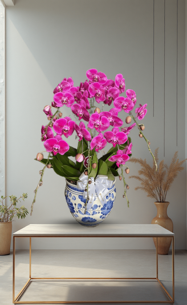 Bunga Anggrek Pot Premium Elegan 5