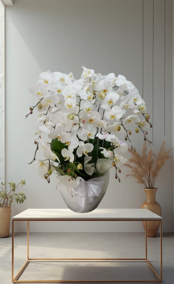 Bunga Anggrek Pot Premium Elegan 10